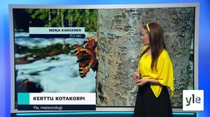 Sääennuste klo 18: 31.03.2021 18.30