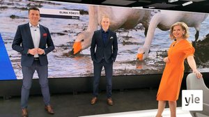 Mitkä asiat ratkaisevat kuntavaalit?: 01.04.2021 09.30