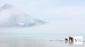 Tulivuoret: 03.04.2021 06.00