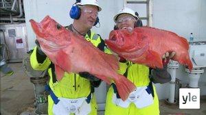 Öljyä, kaasua, kalaa: 09.04.2021 06.00