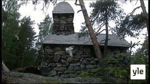 Pelon haju (7): 09.04.2021 06.00