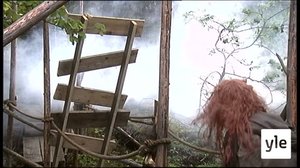 Viesti Valveelle (7): 09.04.2021 06.00