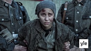 Pako Pawiakista (16): 14.04.2021 06.00