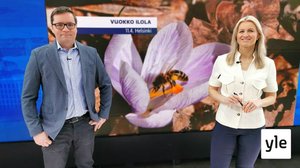 Mitä on tapahtumassa työehtojen sopimusjärjestelmälle?: 12.04.2021 09.30