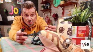 BUU-klubben: 18.04.2021 08.30