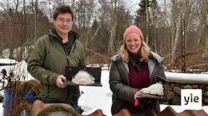 Pesä pääskysille ja akvarellimaalausta: 17.04.2021 00.01