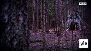Juhat luonnossa: Metsän pelko: 18.04.2021 17.46