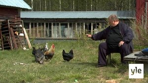 Mestari: 21.04.2021 00.01