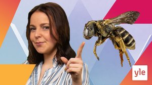 Bi smart (S): 12.05.2021 00.01