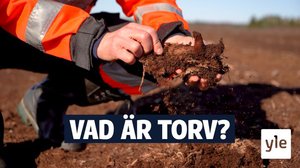 Vad är torv och varför bråkar politikerna om det? : 22.04.2021 17.05