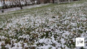 Takatalvi iski Lahteen - Katso suorana yllättikö talvi autoilijat: 23.04.2021 13.37