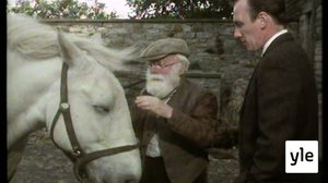 Kaltoin kohdeltu kaunotar (S): 03.05.2021 06.00