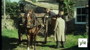 Jos toiveet olisivat hevosia (7): 03.05.2021 06.00