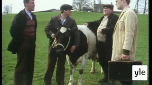 Lahja Dublinista (7): 03.05.2021 06.00