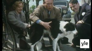 Elämän suola (S): 03.05.2021 06.00