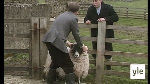 Uusi maailma (S): 03.05.2021 06.00