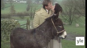 On musiikki ravintoa rakkauden (7): 03.05.2021 06.00