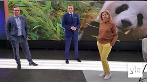 Miltä koronatilanne näyttää kesää kohti mentäessä?: 03.05.2021 09.30