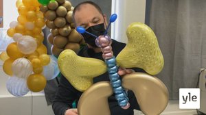 Ilmapallot taipuvat Juho Hokkasen käsissä taideteoksiksi: 03.05.2021 10.03