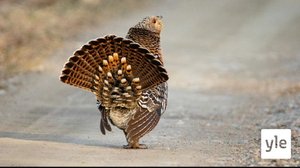 Sääennuste klo 18: 05.05.2021 18.30