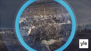 Oddasat: 05.05.2021 22.00