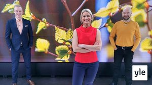 Kuntavaalit lähestyvät - Ylen vaalistartti illalla: 11.05.2021 09.30