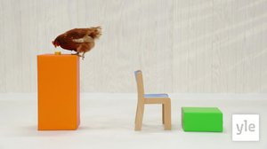 Minimuksut: 12.05.2021 00.01