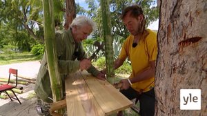 Tonnikalaa Mauritiuksella: 15.05.2021 15.00