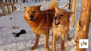 Ressu: 14.05.2021 06.00