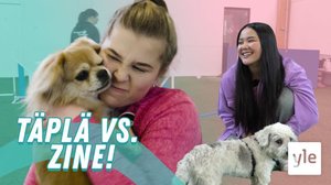 Testataan agilitya - kumpi voittaa kisan?: 17.05.2021 15.00