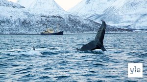 Villieläimiä tutkimassa: 25.05.2021 06.00