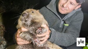 Villieläimiä tutkimassa: 25.05.2021 06.00