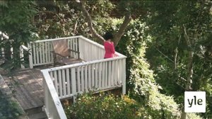 Anna Thorvaldsdottirin sävelmaailma: 29.05.2021 14.15