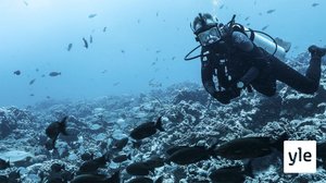 Haiden saartamana: 31.05.2021 06.00