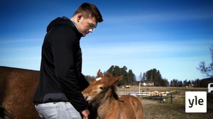 Arvi Savolainen: Ponitemppuilijasta kasvoi olympiapainija: 29.05.2021 00.01