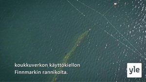 Yle Oddasat: 28.05.2021 16.50