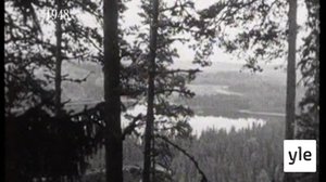 Filmikellari: 03.06.2021 12.53