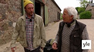 Djurslandin kaurispukki: 05.06.2021 16.25