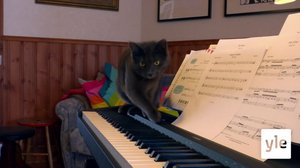 Piano-rap: 05.06.2021 06.00