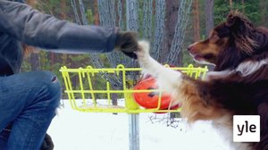 Frisbee-rap: 05.06.2021 06.00