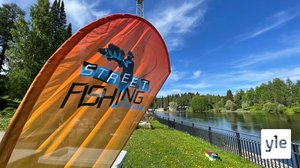 Kummat syövät ahnaammin, itikat vai kalat? Kajaanin keskustassa on harvinainen arvokalakohde: 08.06.2021 19.27