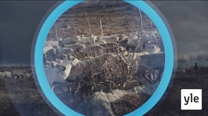 Oddasat: 08.06.2021 22.00