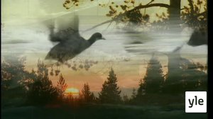 Ahvenanmaalla: 13.06.2021 13.25