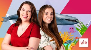 Fredagskollen  (S): 11.06.2021 00.15