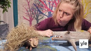 BUU-klubben: 13.06.2021 08.30