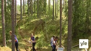 2013 Jämsä-Jukola, Venlojen viesti: 17.06.2021 00.01
