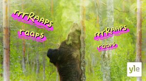 Murrosikä (S): 18.06.2021 12.00