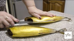 Makrilli: 22.06.2021 06.00