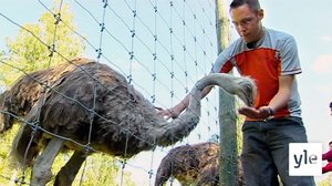 Matkalla Suomessa: 20.06.2021 00.01