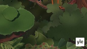 Vainukärsä (S): 25.06.2021 00.01